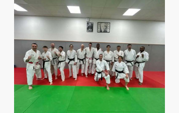 Stage préparation 2ème, 3 ème et 4ème DAN Karaté