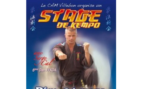 Stage de Kempo avec Serge Cal