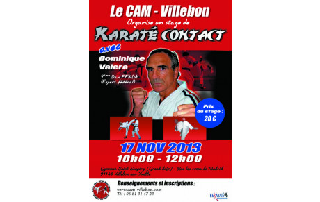 Stage de Karaté contact avec Dominique Valéra