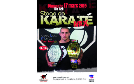 Stage de Karaté Mix avec Loic Marty, Expert fédéral